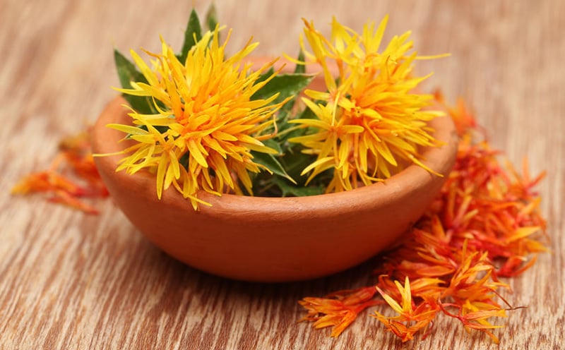 Safflower Blooms with Ingredient Possibilities - Prospector Knowledge Center